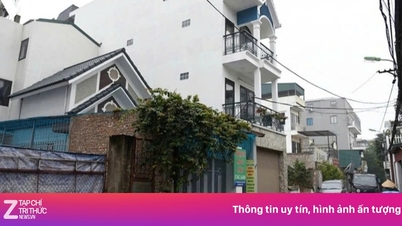 Ho-Chi-Minh-Stadt wird im Juni Stadtviertel, Weiler und Dörfer neu ordnen.