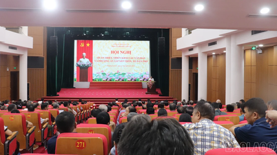 Im Stadtbezirk Lao Cai wird nach der Reorganisation voraussichtlich die Anzahl der Wohngruppen um 77 reduziert.