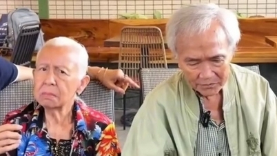 Un couple d'artistes de 80 ans a été escroqué de 1,3 milliard de dongs, ce qui les a contraints à vendre leur maison à Hô Chi Minh-Ville et à retourner dans leur ville natale pour louer un logement.