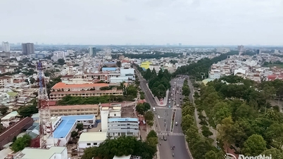 Construirea de mecanisme pentru a crea impuls pentru dezvoltarea rapidă a orașului Dong Nai.