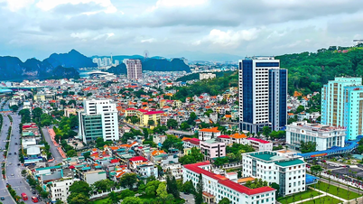 Quang Ninh godkänner planen att etablera en centralt styrd stad.