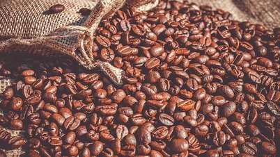 Koffieprijzen vandaag, 2 juni: blijven dalen nu de koffieoogst in Brazilië weer op gang komt.