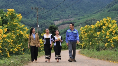 ในการปรับโครงสร้างหมู่บ้านและชุมชนครั้งล่าสุดในจังหวัด Khánh Hòa ตำบล Trung Khanh Vinh จะมีถนนที่ประดับประดาด้วยดอกไม้สวยงาม และจำนวนหมู่บ้านจะลดลงจาก 6 แห่งเหลือ 5 แห่ง