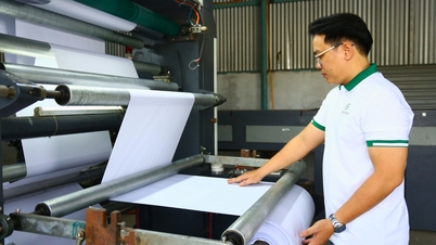 Μηχανικοί ηλικίας 20 ετών δημιουργούν μια νέα επίστρωση που επιτρέπει στα χάρτινα ποτήρια να αποσυντίθενται σχεδόν πλήρως μετά από 6 μήνες.