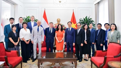 Vietnam-Netherlands Political Consultations: Expanding Cooperation in Strategic Areas