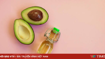 Anwendungsmöglichkeiten von Avocadoöl in der Hautpflege
