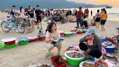 Los turistas se levantan a las 4 de la mañana para ir al pueblo pesquero de Da Nang, donde gastan varios millones de dongs en comprar marisco fresco.