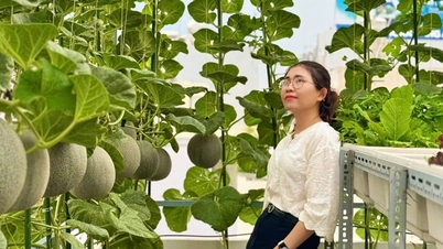 Una madre ingeniosa de Ciudad Ho Chi Minh transforma su azotea de 30 m2 en un abundante jardín de melones.