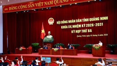 Faire de Quang Ninh un pôle de croissance global.