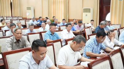Il quartiere di Hai Duong, nella città di Hai Phong (precedentemente parte della città di Hai Duong), sta attuando un piano di riorganizzazione delle aree residenziali.