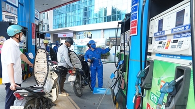 As pessoas estão usando a gasolina E10 de forma proativa e confiante.