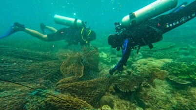 De la salvarea vieții marine până la călătoria verde a lui Con Dao.