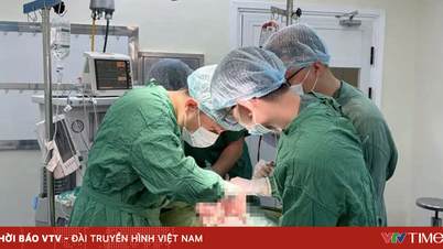 התראת חירום: שני ילדים עם פצועים מרובים חולצו מתאונת דרכים.