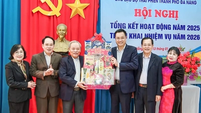 Da Nang anerkjenner 25 foreninger som er tildelt oppgaver av partiet og staten i området.
