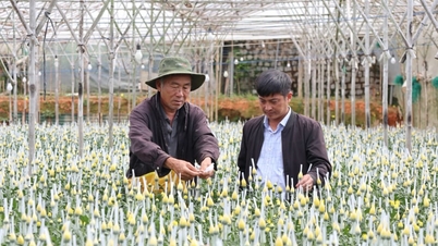 De acordo com a mais recente reorganização de vilas e bairros na província de Lam Dong, o número de bairros no distrito de Lam Vien, em Da Lat, deverá diminuir significativamente.