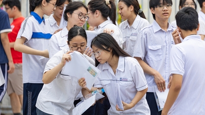 Punteggi minimi per l'esame di ammissione alla decima classe ad Hanoi: qual è la fascia di punteggio considerata sicura per i candidati?