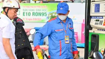 Is het gebruik van E10-benzine reden tot bezorgdheid?