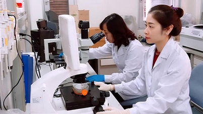 Maximiser la valeur pratique des projets de recherche scientifique.