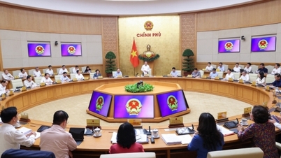មុខងារ ភារកិច្ច អំណាច និងរចនាសម្ព័ន្ធរបស់ការិយាល័យរដ្ឋាភិបាល