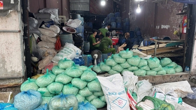 Yasaklı madde olan 6-Benzilaminopurin'i kullanarak 1.000 tondan fazla fasulye filizi üretip satan dört kişi hakkında dava açıldı.