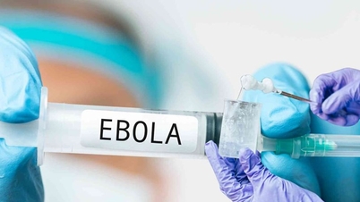Les médecins n'utilisent que « deux minutes cruciales » pour prévenir l'infection par le virus Ebola.