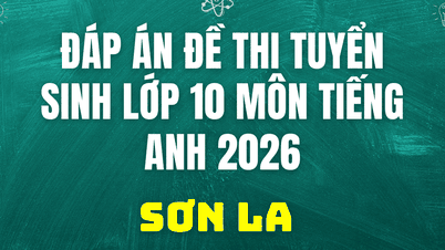 Kunci jawaban dan soal ujian Bahasa Inggris kelas 10 di Son La hari ini, 2 Juni 2026.