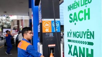 La experiencia de una nación de 1.400 millones de personas en la transición a la gasolina E30.