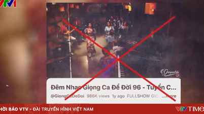 Mezera v legislativě na YouTube a paradox trestání tvůrců za porušování autorských práv.