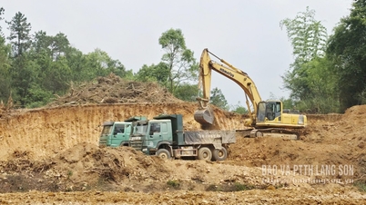 Proyecto del complejo deportivo: Terreno despejado, avance acelerado.