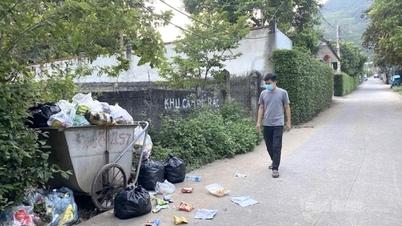 Lacune nel piano di raccolta dei rifiuti nel distretto 2 di Ha Giang.