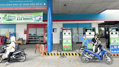 کین تھو ایندھن کی مارکیٹ E10 پٹرول کی فروخت کے پہلے دن مستحکم طریقے سے کام کرتی رہی۔