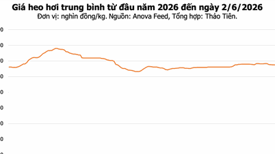 Prețurile cărnii de porc astăzi, 2 iunie: Prețurile în Sud scad uniform la 67.000 VND/kg.