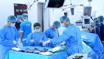 Tam Anh-sjukhuset implementerar högteknologisk njurtransplantation och kompletterar därmed ekosystemet för hantering av kronisk njursjukdom.