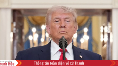 Trump : Israël et le Hezbollah acceptent de réduire les combats.