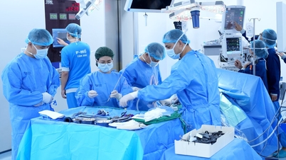 Tam Anh Hospital utfører nyretransplantasjoner med suksess, og fullfører omfattende behandling av nyresykdom.