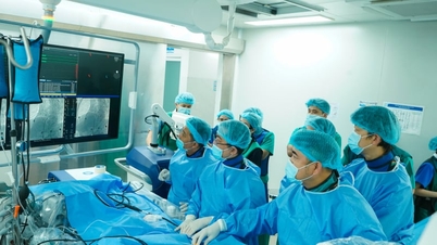 Nouveau record : Traitement réussi de 3 cas d'arythmie cardiaque en un clin d'œil.