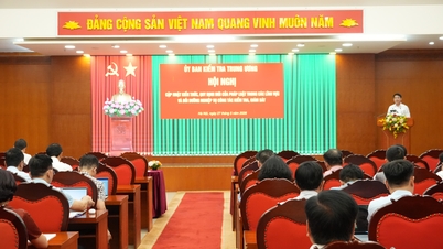 Bài phát biểu kết luận Hội nghị cập nhật kiến thức, quy định mới của pháp luật trong các lĩnh vực và bồi dưỡng nghiệp vụ công tác kiểm tra, giám sát