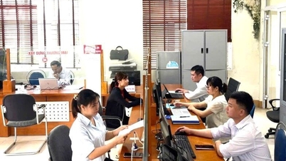 Menyebarluaskan informasi tentang kompetisi online untuk mempelajari reformasi administrasi negara.