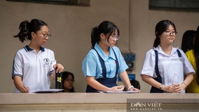 Las respuestas más precisas para el examen de ingreso de matemáticas de décimo grado de Ciudad Ho Chi Minh de 2026.