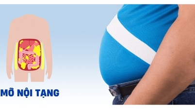 چربی احشایی اضافی چه بیماری‌هایی را می‌تواند ایجاد کند؟