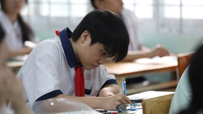 Ho Chi Minh City Grade 10 Exam: Official Math Exam Paper