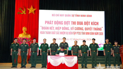 Das Provinzmilitärkommando Ninh Binh startet eine überraschende Wettkampfkampagne.