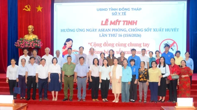 Dong Thap si unisce alla lotta contro la febbre dengue.