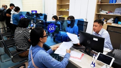 Tay Ninh har 37 administrativa enheter på kommunnivå av typ I.