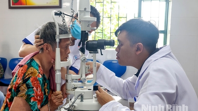 Synundersökningar och konsultationer för äldre vid Ninh Binh provinsiella center för socialt skydd och arbete.