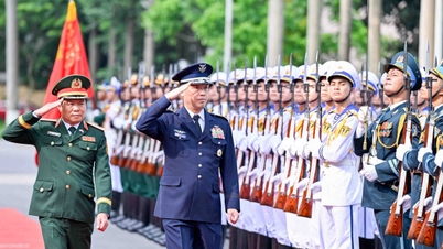 Vietnam is bereid Japanse defensietrainees te verwelkomen om Vietnamees te leren.