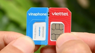 1.6 million mobile phone subscribers have been confirmed as "not registered in their name".