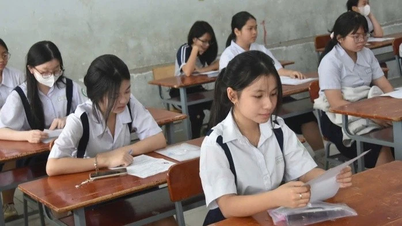Risposte e soluzioni per l'esame di ammissione di matematica per la decima classe a Ho Chi Minh City del 2026.