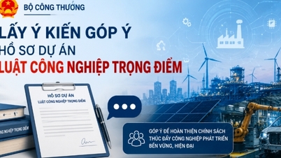 The Ministry of Industry and Trade is seeking feedback on the draft Law on Key Industries.