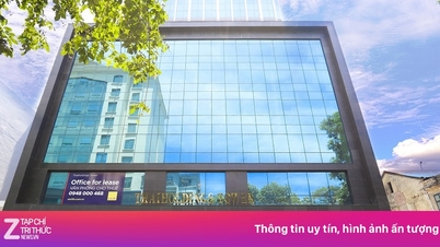 ما الذي يحدث لسهم شركة Thaiholdings؟
